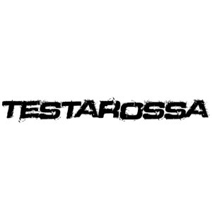 In der Kategorie Ferrari Testarossa findest du...
