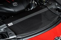 APR Performance Cooling Plate (MIttelteil) - 20-23 Toyota Supra A90/A91