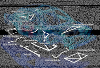 Ultra Racing Strebe vorn unten 4-Punkt - 82-94 BMW E30 2.0 (2WD)
