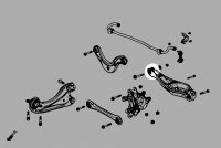 Hardrace Rear Lower Arm Bushings (Harden Rubber) - 17+ Honda Civic FC (incl. Type-R FK8)