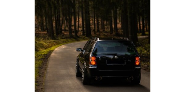 FOX Endschalldämpfer 1x100 Typ 16 - VW Passat 3B/3BG 4-Motion