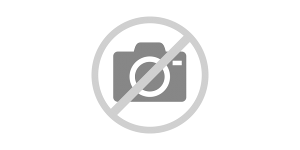 FOX Final Silencer 160x80 Typ 53 - Toyota Avensis T25 Gasoline Limousine