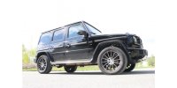 FOX Endrohr zum anstecken - 2x115x85 Typ 38 rechts und links unterm Trittbrett - Mercedes G-Klasse G500 310kW 463