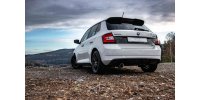 FOX final silencer - 1x100 Typ 25 - Skoda Fabia NJ R5...