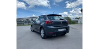 FOX Endschalldämpfer - 2x80 Typ 25 - Seat Ibiza V KJ