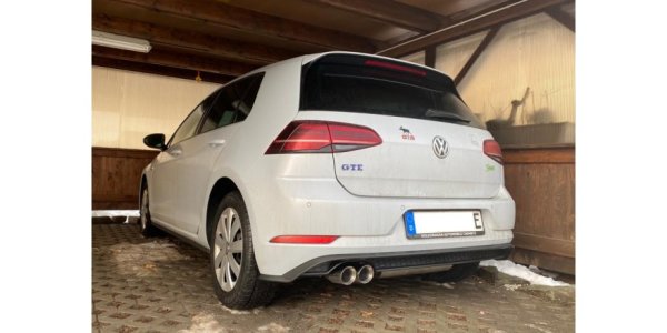 FOX Endschalldämpfer - 2x80 Typ 25 - VW Golf VII GTE