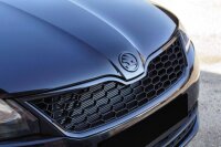 Maxton Design Front Grill - Skoda Rapid