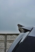 Maxton Design Spoiler Cap schwarz Hochglanz - Opel Zafira B OPC