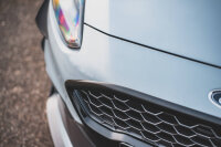 Maxton Design Front Grill Ford Fiesta ST MK8