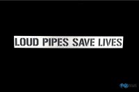 FOX Edelstahlplatte 300 x 33 mm - "loud pipes save...