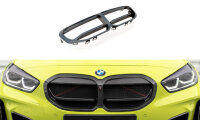 Maxton Design Front Grill Carbon - 19+ BMW 1 Series F40...