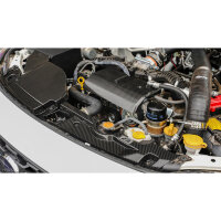 APR Performance Carbon Plate + Intake Duct Set - 22-23...