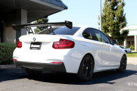 APR Performance GTC-200 Spoiler (verstellbar) 60.5" (154 cm) - 16-21 BMW 2er Serie F22