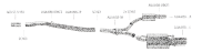 Bastuck Exhaust System - 08+ Audi A4/ A5 B8 4-Cylinder...