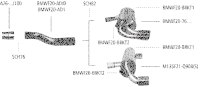 Bastuck Sport Exhaust - BMW 1 Series F20/ F21 Diesel