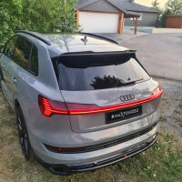 Maxton Design Rear extension Diffusor DTM Look - Audi...