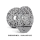 EBC Front Brake Disc Set Premium Disc - Mercedes Models