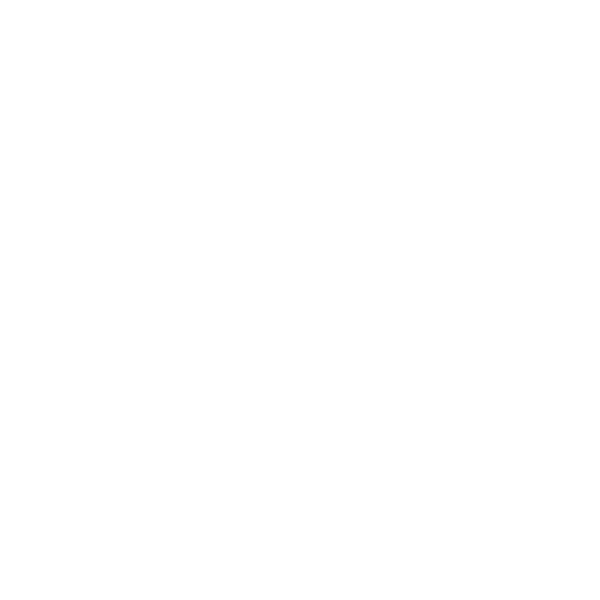 EBC Front Brake Disc Set Blade Disc - Audi/ VW Models