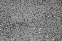 Hardrace "Black Series" Domstrebe vorn oben...