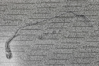 Hardrace "Black Series" Rear Sway Bar 25.4 mm - 07-14 Ford Mondeo MK4 / 10+ Volvo S60 / 10+ Volvo V60 / 09-17 Volvo XC60 / 07+ Volvo V70 / 07+ Volvo XC70 / 07+ Volvo S80 (FWD each only)