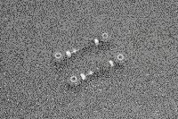 Hardrace "Black Series" Spurversteller hinten...