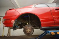 Hardrace Sturzversteller hinten - 92-00 Honda Prelude