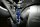 Hardrace Rear Lower Bar 2x 2-Point - 16+ Lexus RX AL20