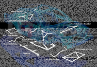 Ultra Racing Domstrebe vorn oben 2-Punkt - 14+ Mazda 2 (DJ) 1.5(D) (Hatchback/Sedan) (RHD Modelle)