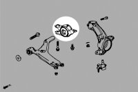 Hardrace Front Lower Arm Bushings (Harden Rubber) - 17+ Honda Civic FC