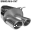Double Tailpipe oval 2x 89 x 77 mm