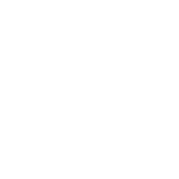 Double Tailpipe LH+RH 2x Ø 85 mm Carbon with exhaust flap