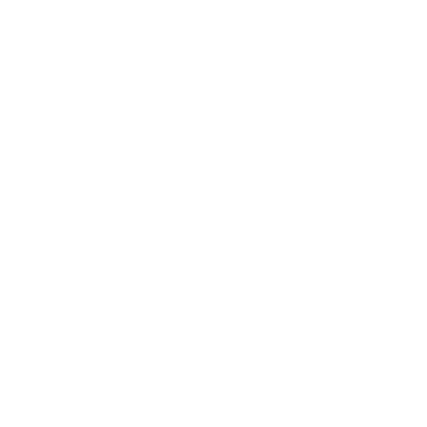 Doppel-Endrohr LH+RH 2x Ø 85 mm Carbon mit Abgasklappe