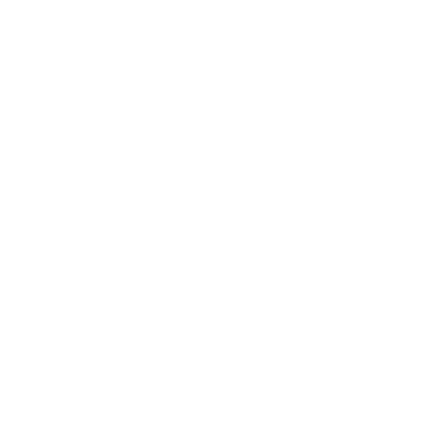 for Final Silencer central or LH+RH