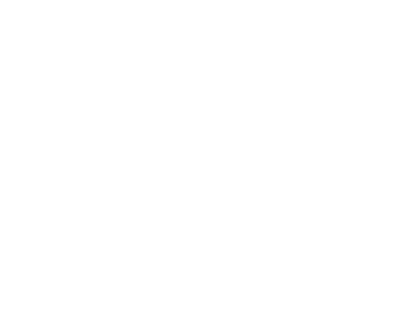 Einfach-Endrohr 1x Ø 100 mm Carbon 30° schräg geschnitten ohne Abgasklappe
