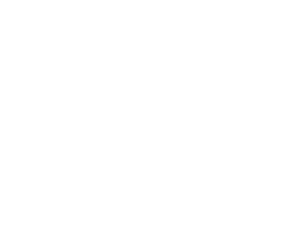 Einfach-Endrohr 1x Ø 100 mm Carbon 30° schräg geschnitten ohne Abgasklappe