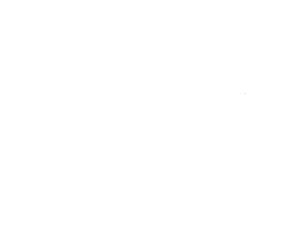 Single Tailpipe 1x Ø 100 mm Carbon 30° angled cut w/o exhaust flap