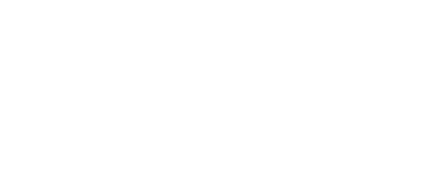 Single Tailpipe LH+RH 1x Ø 100 mm