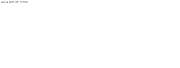 Double Tailpipe LH+RH 2x Ø 63 mm 20° angled cut