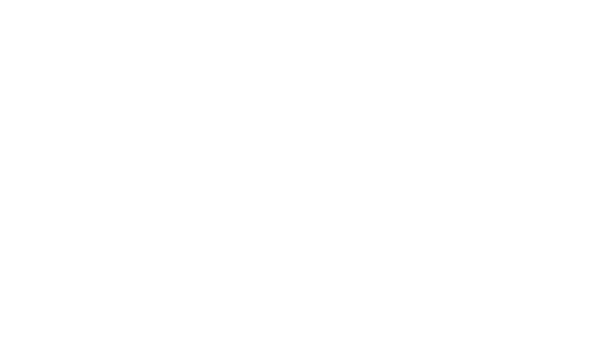 Einfach-Endrohr LH+RH 1x Ø 100 mm 30° schräg geschnitten mit Abgasklappe + Heckschürzeneinsatz
