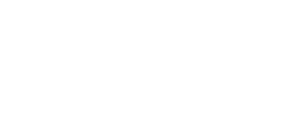 Einfach-Endrohren 2x Ø 100 mm (im Audi TT-Armaturendesign)