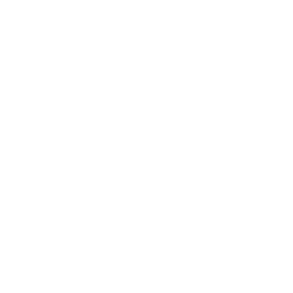 Doppel-Endrohr 2x Ø 54 mm