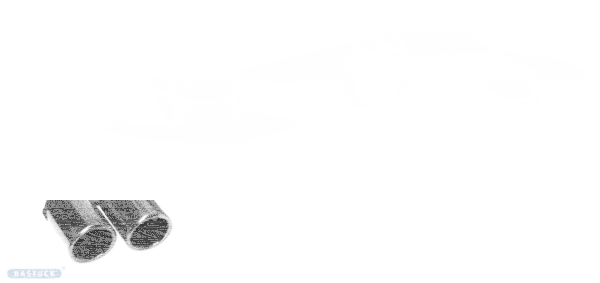 Double Tailpipe LH+RH 2x Ø 76 mm 20° angled cut with inward curl