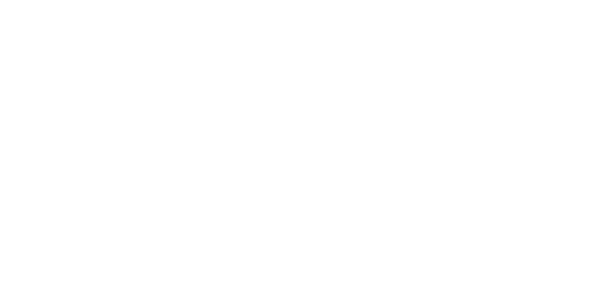 Einfach-Endrohr LH+RH 1x oval 120 x 80 mm
