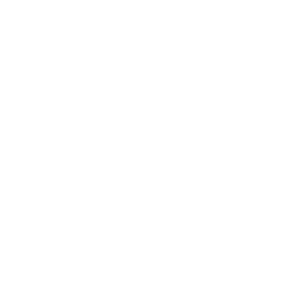 Einfach-Endrohr 1x Ø 100 mm 30° schräg geschnitten - ohne Abgasklappe