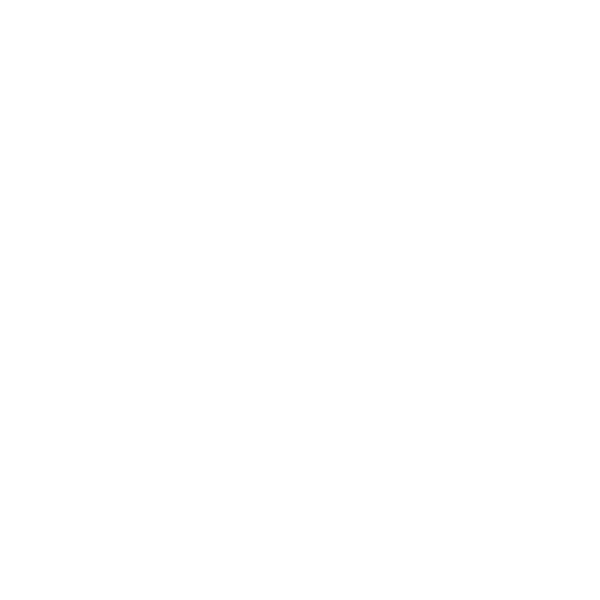 Einfach-Endrohr 1x Ø 63 mm - mit Abgasklappe