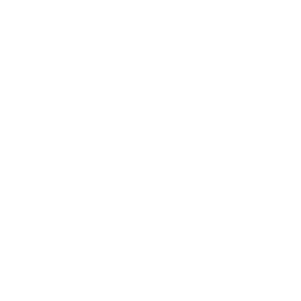 Einfach-Endrohr 1x Ø 63 mm - ohne Abgasklappe