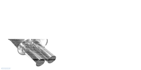 Doppel-Endrohr LH+RH 2x Ø 76 mm 20° schräg geschnitten - ohne Abgasklappe