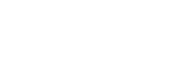 Einzel-Endrohr 1x Ø 63 mm für Original Heckschürzenblende